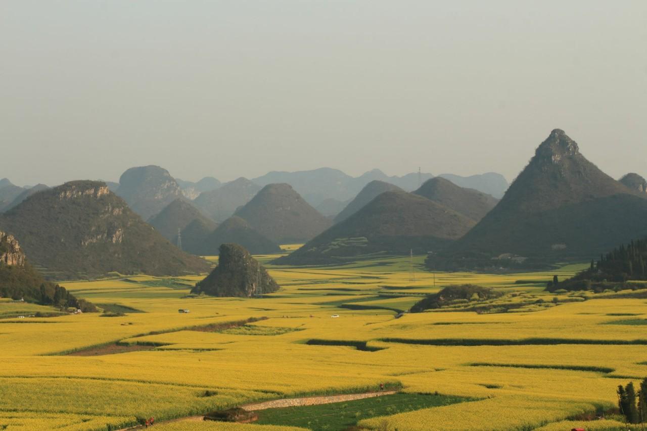 金鸡峰丛