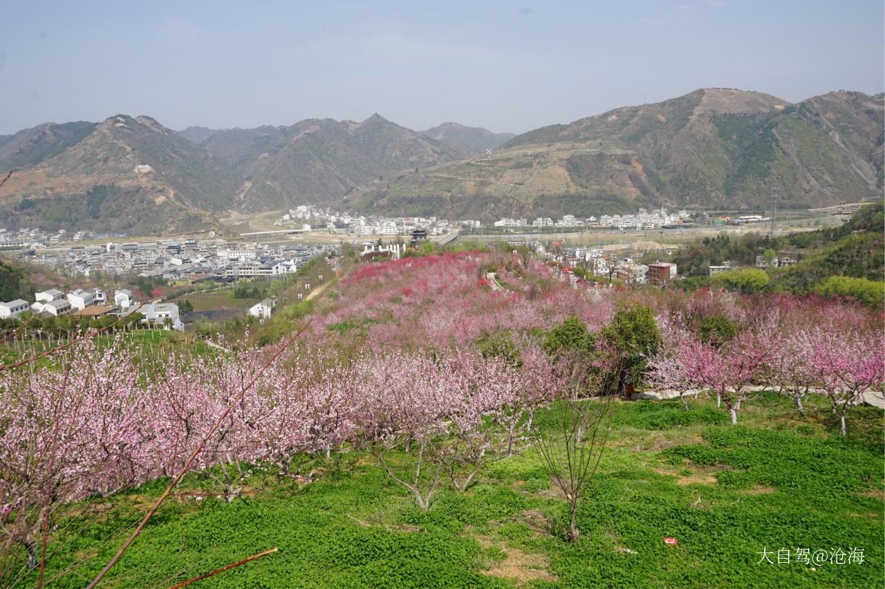 竹林关桃花谷