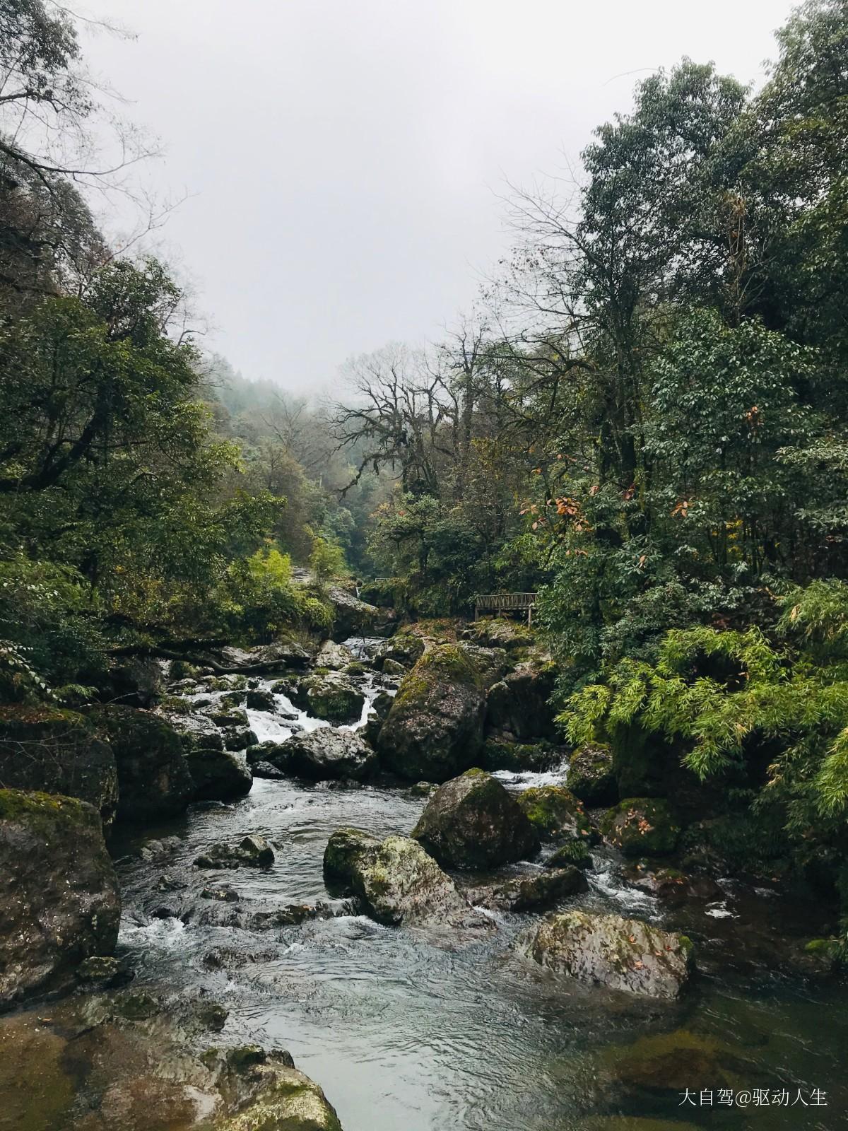 龙苍沟国家级森林公园