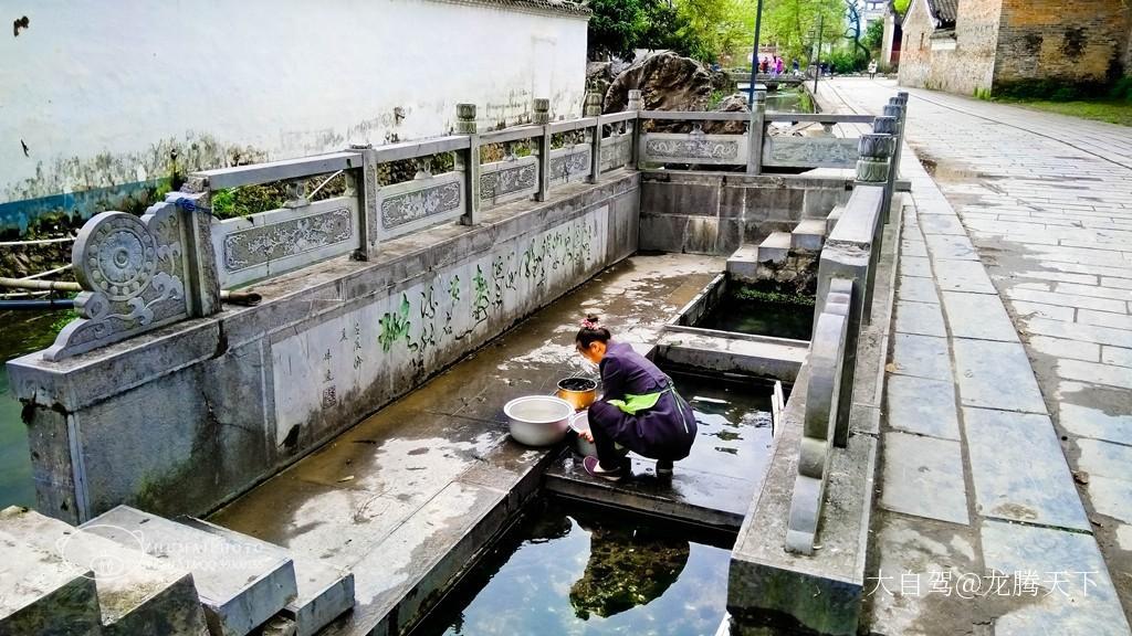 秀水状元村