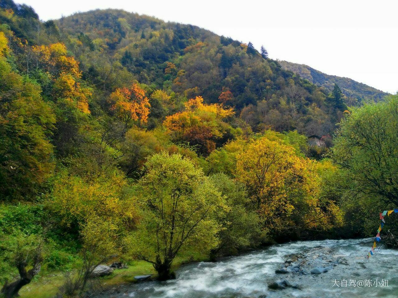 梭磨河大峡谷