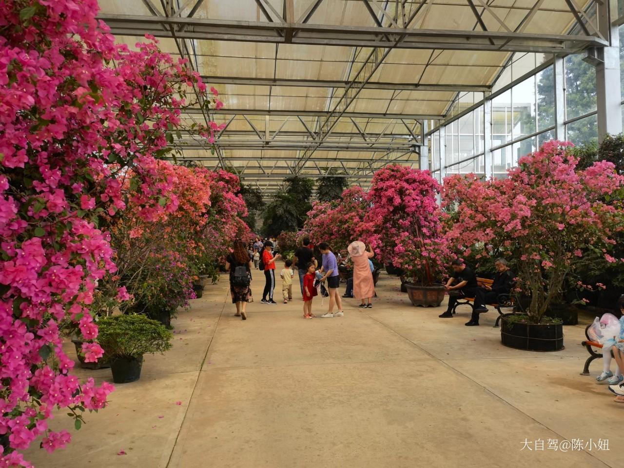 成都花舞人间景区