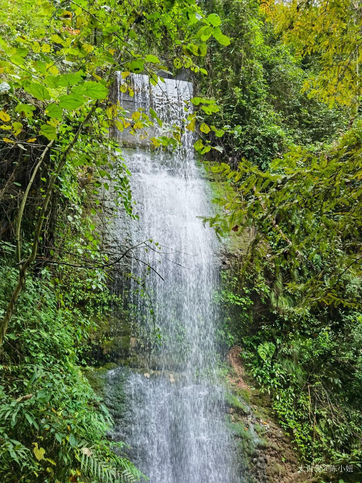 青城山