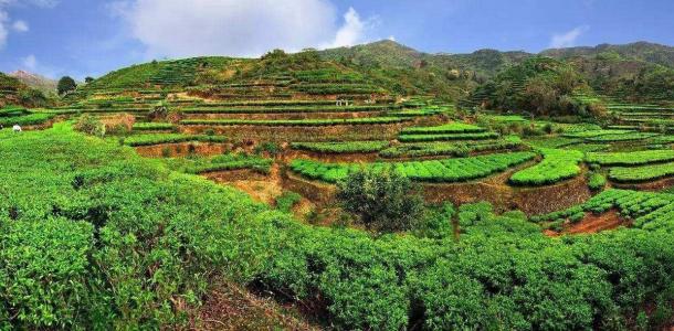 厦门出发广东梅州4日自驾游：大埔泰安楼-五华热矿泥-雁南飞-客天下4日游