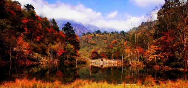 成都周边2日秋季赏红叶自驾游：二郎山喇叭河景区红叶2日自驾游