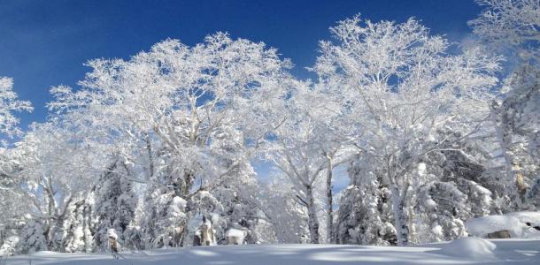 北京出发东北雪乡7日自驾游：中国最美雪乡、查干湖冬捕、虎峰岭雾淞、雪乡温泉