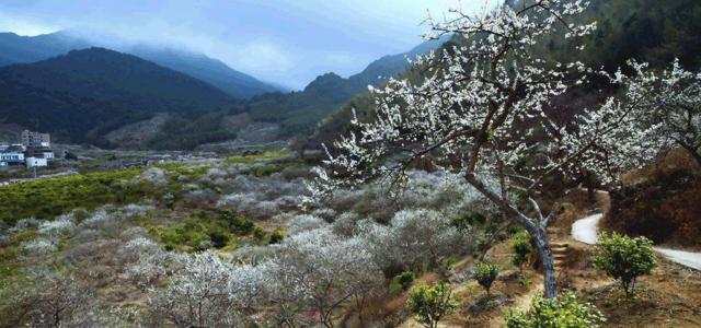 周末中山周边自驾游：增城品盆菜-从化石门森林公园赏枫叶-溪头村寻梅2天自驾