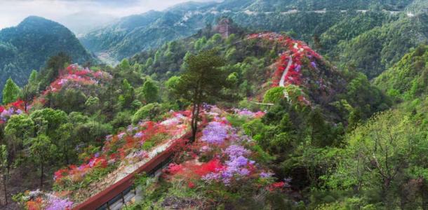 武汉周边岳西天峡：岳西天峡-大别山百里杜鹃-华东第一大峡谷2日自驾游