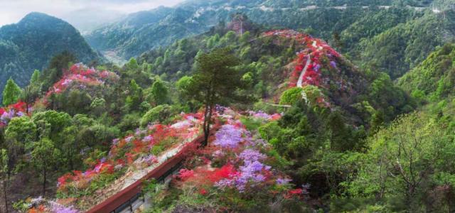 武汉周边岳西天峡：岳西天峡-大别山百里杜鹃-华东第一大峡谷2日自驾游