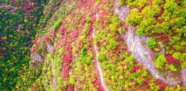 长沙出发重庆宜昌4日自驾游：宜昌三峡大坝-巫山小三峡-神女天路红叶4日自驾游