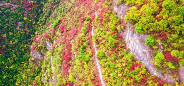 长沙出发重庆宜昌4日自驾游：宜昌三峡大坝-巫山小三峡-神女天路红叶4日自驾游