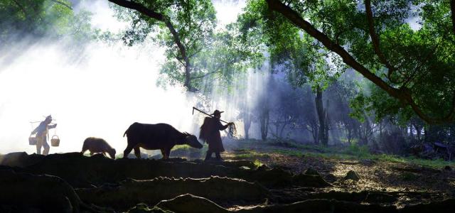 北京出发福建9日自驾游：武夷山-景德镇-杨家溪-狼山9日自驾