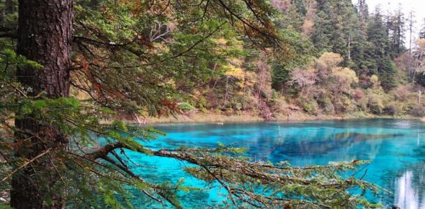 重庆出发九寨沟4日自驾游：萝卜羌寨-九寨沟-黄龙4日川西休闲自驾游