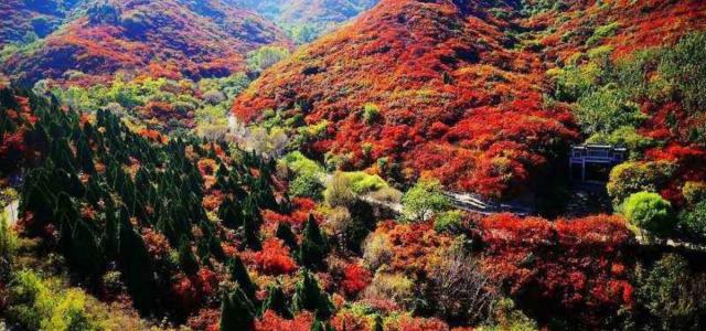 北京出发河北山东8日自驾：石头村、西柏坡、白鹿温泉、王硇村8日自驾