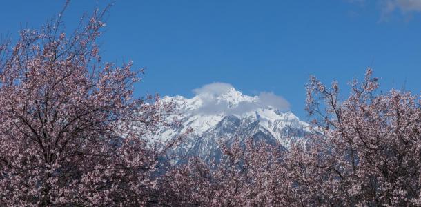 成都出发西藏11日半自由行：甲居藏寨-新都桥-稻城亚丁-梅里雪山- 林芝-圣城拉萨11天半自由行