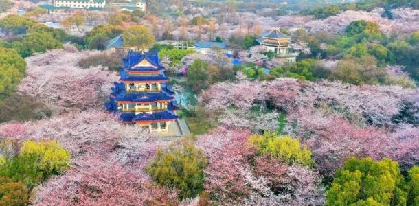  山东出发江苏扬州5日自驾游：李中水上森林-荷兰花海-瘦西湖-拈花湾5日自驾江南