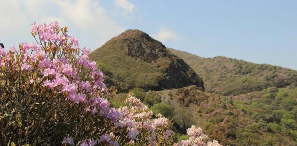 成都周边4日自驾游：邛海-马湖-大凉山赏索玛花4日自驾游