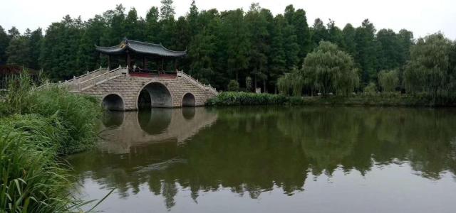 北京出发山东5日自驾游：李中水上森林-丹顶鹤湿地-竹泉村5日自驾游