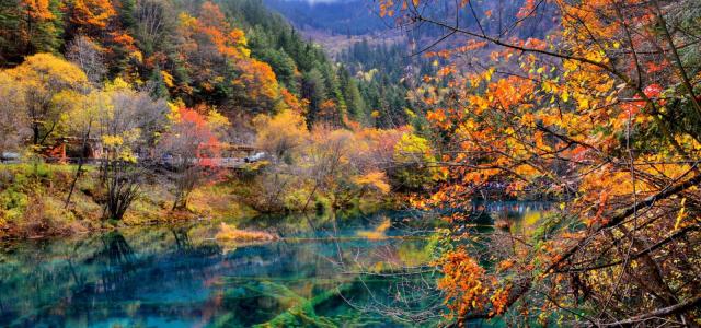 成都出发川西7日落地自驾：九寨沟-黄龙-达古冰川-羊绒哈德-毕棚沟-古尔沟7日自驾游