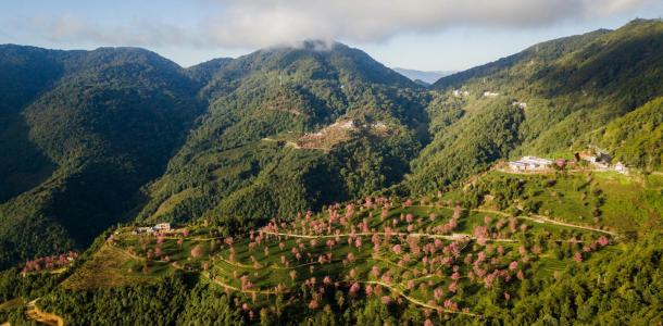 昆明集合云南8日落地自驾：无量樱花-腾冲银杏-诺邓古村-南涧土林8日自驾