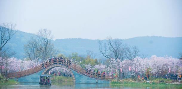 山东出发江苏赏花4日游：太湖鼋头渚の樱花-拈花湾禅意小镇-兴化跺田花海4日游