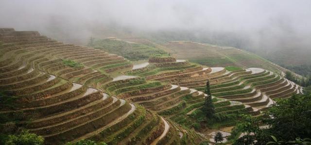 广东出发五一广西三江龙脊4日自驾游：三江程阳风雨桥-侗寨-龙脊梯田4日自驾游