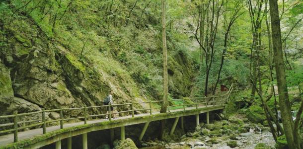 宁夏银川出发4日自驾：牛背梁、柞水溶洞、陈炉古镇、终南山寨、袁家村4日自驾游