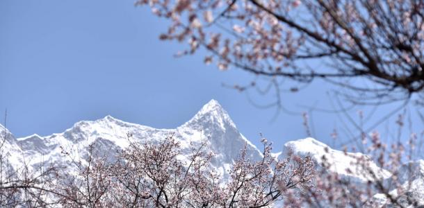 成都出发西藏桃花节——3-4月丹巴+墨石公园+理塘勒通古镇+然乌湖+来古冰川+岗云杉林+桃花沟+索松