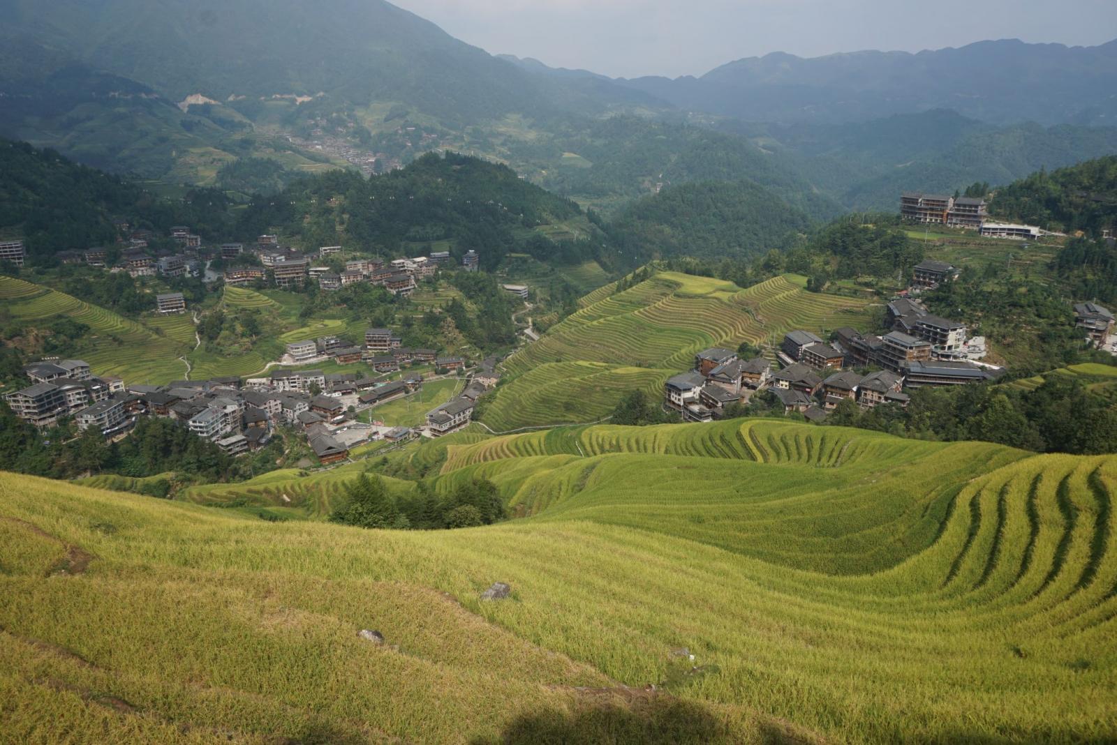 龙脊梯田