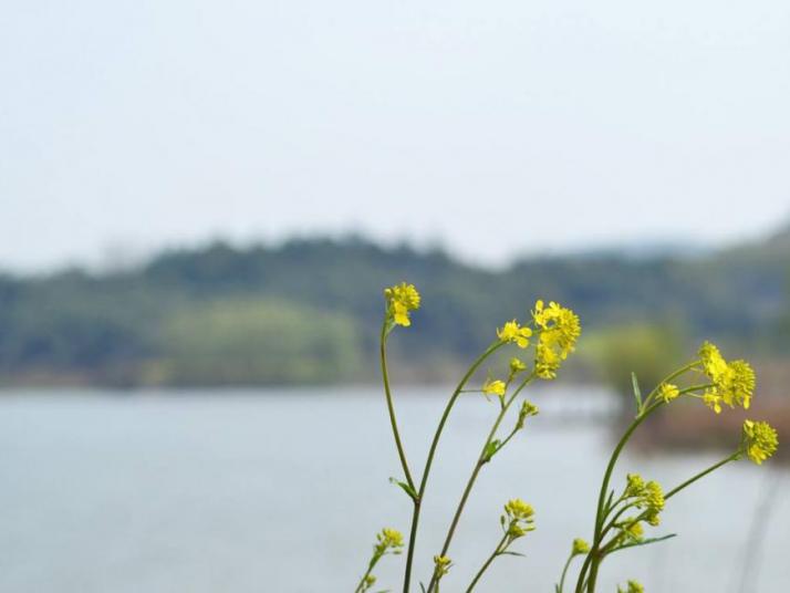 芜湖响水涧好玩吗