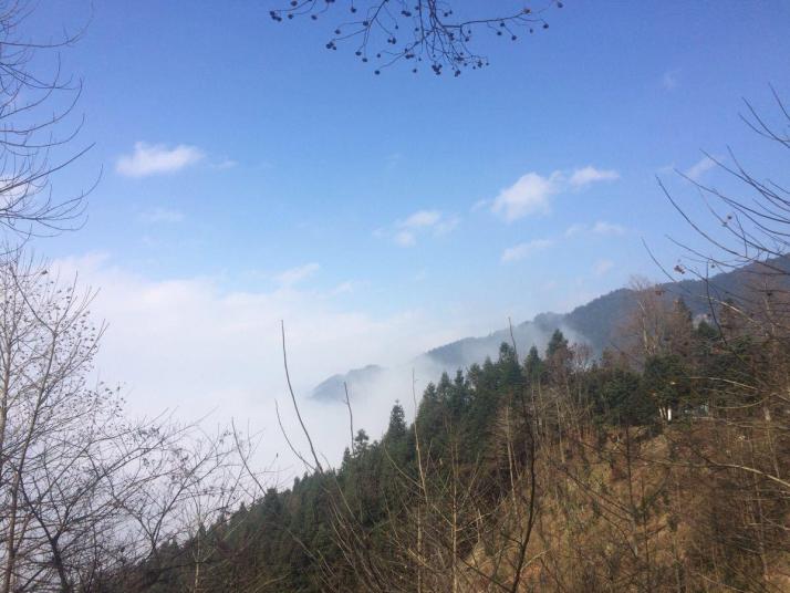 洪江雪峰山国家森林公园图片