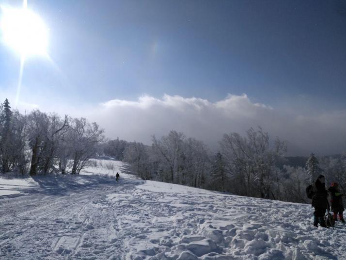 牡丹江雪乡羊草山图片