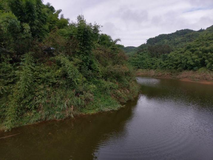 乐山沐川竹海好玩吗