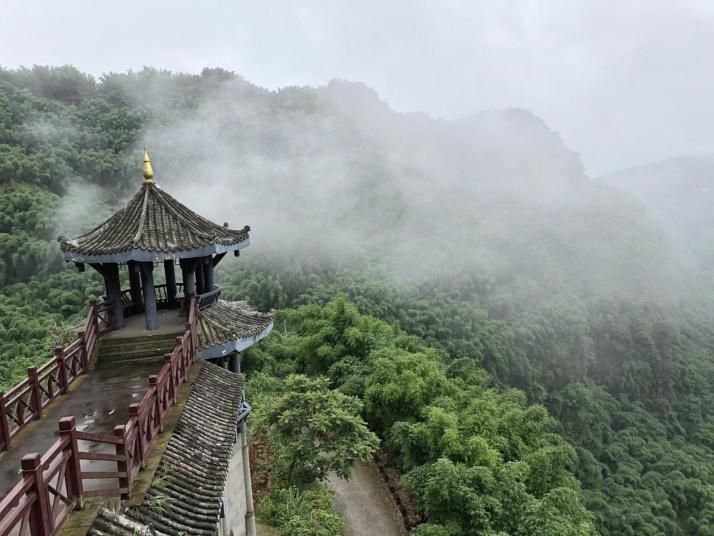 乐山沐川竹海