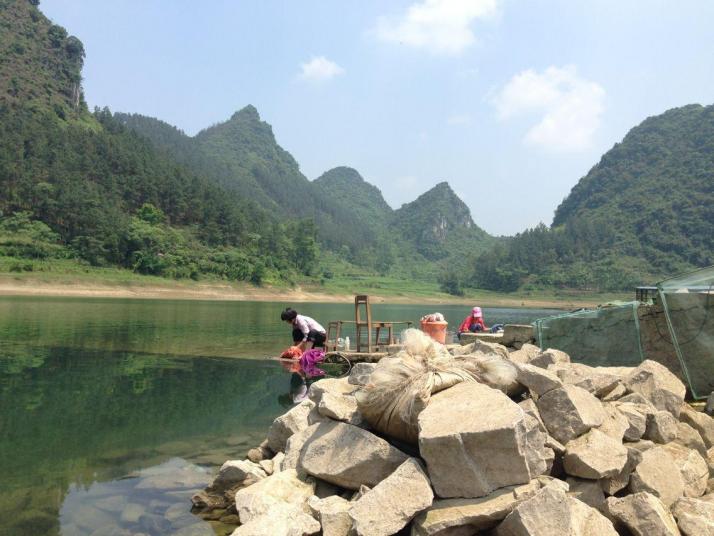 上林大龙湖景区图片