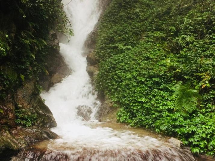 郴州王仙岭旅游风景区图片