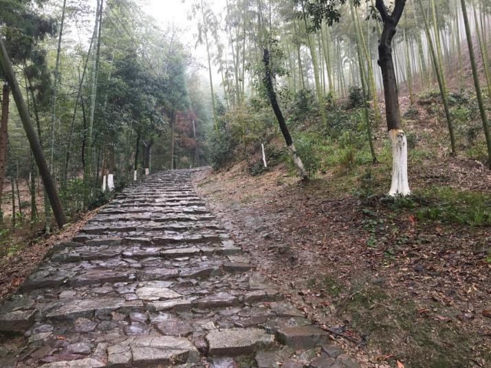 江山仙霞关古道图片