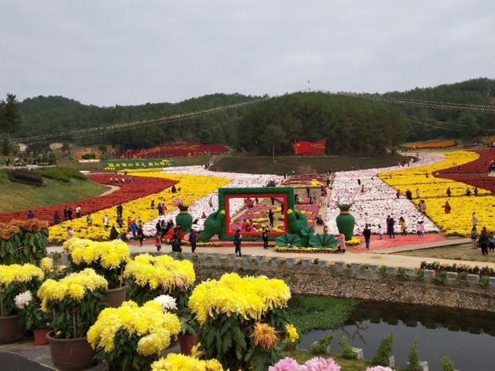 麻城五脑山森林公园