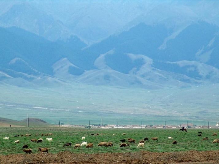 巴里坤巴里坤东天山风景区图片