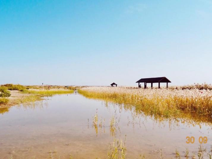 额济纳居延海