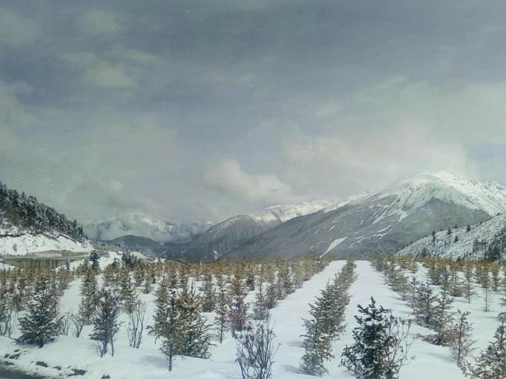 德钦白马雪山好玩吗