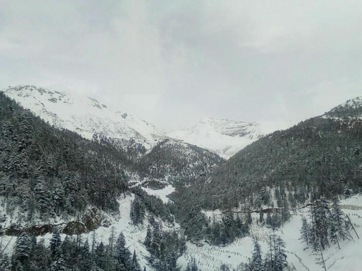 德钦白马雪山图片