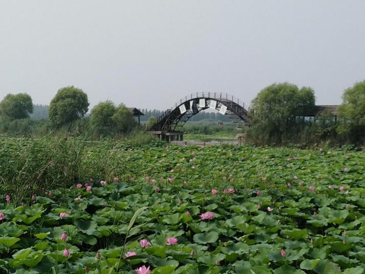 济宁微山湖