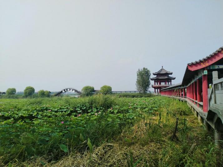 济宁微山湖图片