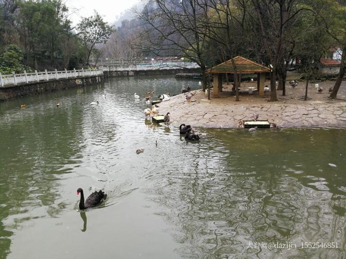 贵阳黔灵山公园