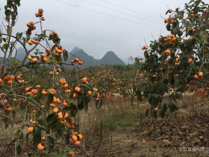 恭城红岩生态旅游村好玩吗