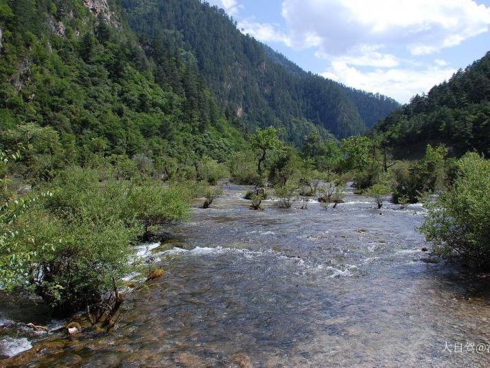 九寨沟树正沟