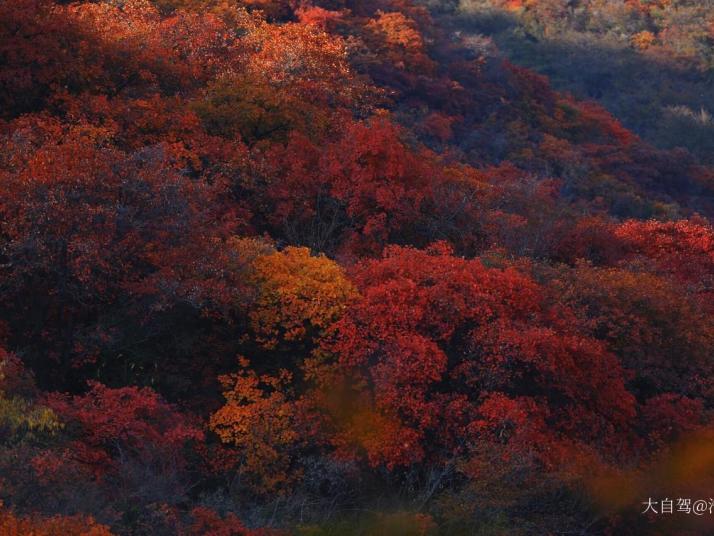 北京坡峰岭好玩吗