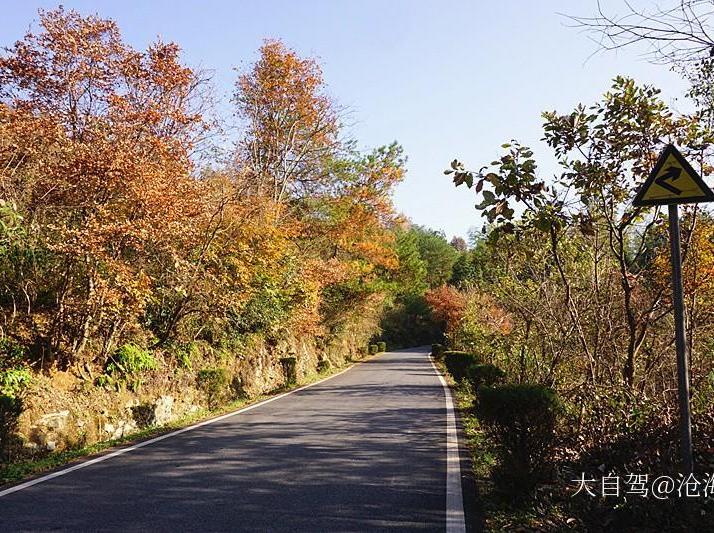 泾县桃岭公路图片