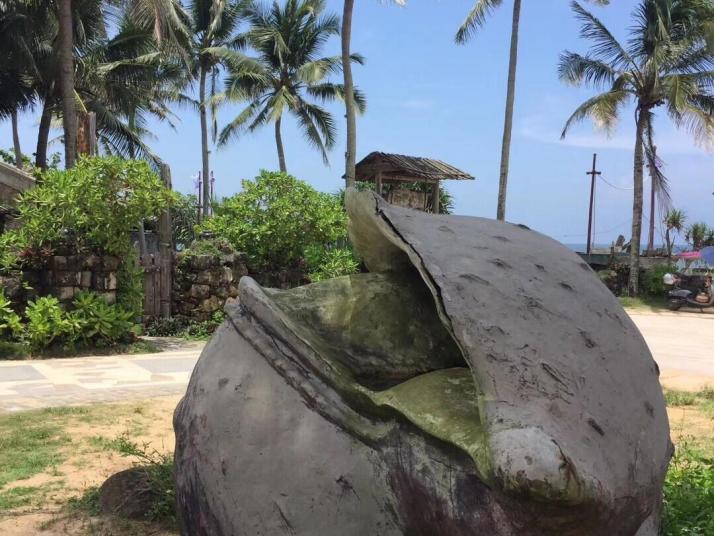 琼海海的故事图片